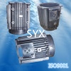 motor body aluminum die casting